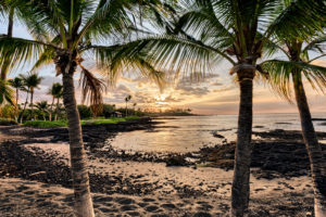 Hawaiian beach sunset with palm trees